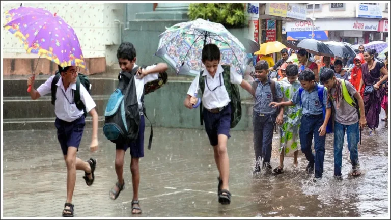 School Holidays: తుఫాను ఎఫెక్ట్‌.. అక్టోబర్‌ 29న 9 జిల్లాల్లో పాఠశాలలకు సెలవు.. ఎక్కడెక్కడ అంటే..! | Cyclone effect: School Holiday Declared for Schools in 9 Districts on October 29… Which Districts?